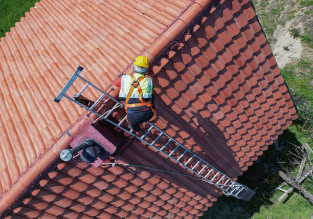 Best Skylight Installation and Repair  in Coopertown, TN